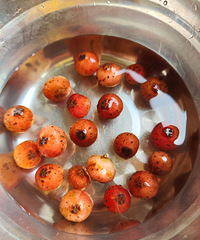 ĩûԼֻһϼңСĵطһһľ