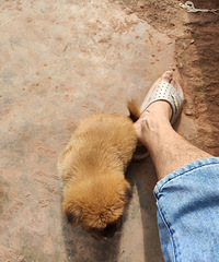 ĩûԼֻһϼңСĵطһһľ