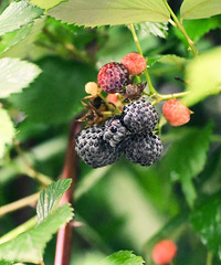 �²������ʲô��