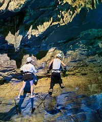 34192CMĹ飬ϣԷרһ