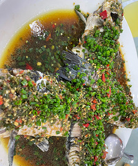 �����ĩ�ܲ���Ӵ