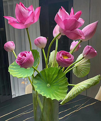 2024.6.30�ϰ���������������ã����õĶ���·������