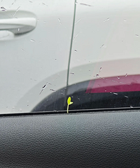 �����÷�꼾�����жೱʪ�����ﶼ��ʼ������