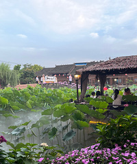 [ϲ��]���պɻ����ϵĻ����ĺ������������޻��и��ֱ���