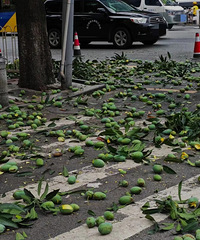 ��·�����ص�â�����ܳ��𣿺���ȥ��