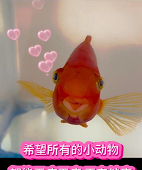 [�뷨]����ȥ���������25���ƻ���470������������ô��