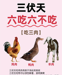 三伏天到了,现在遵循这个“六吃六不吃”的原则,冬天不易生病
