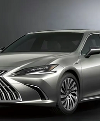 ���������糤�������з����Ϻ����׿���˹�����ˣ�