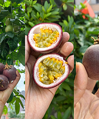 �����������������������ջ���4��