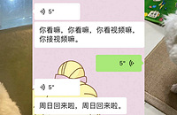 �ɺ��𣿹���ȥ����1�º�����ֻ����������Ĺ�