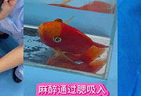 ��һ����ȥҽԺ���������25Ԫ�����ƻ���470