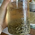 夏天多喝冷泡茶能刷脂