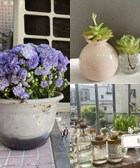 ���������Լ��Ļ�԰��ˮ���˺ö�С����