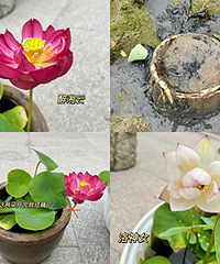 �ɻ������ˣ������ڳ�����ź�ְ�����