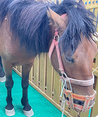 [��Ȥ]����30����ܺ�С���ﻥ�����������޲�����ͺ�ˬ