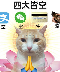 有多少人跟我一样,买了房子却迟迟不装修?原因是