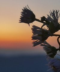 ���ˣ����캢�ӵġ����ճɳ��ƻ���������