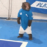 ������ֵ���������Ų�16.9�� ���е�ֺŷ���5Ƭ19