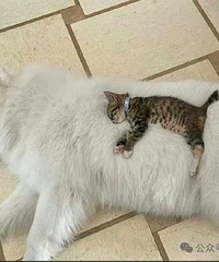��3��΢����Ƭ������������ѵĳ�����Ϊ