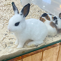 夏天室内遛娃好去处
