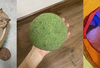 ����ʹ������ǰ3��èè���2ֻè��ϲ������