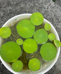 �������ն����̶ֳȣ�����̨50��Ļ����˵���