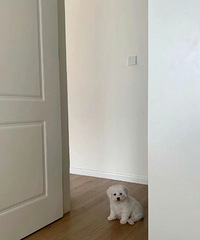 ���׶������Ұ��ҵĹ����ˣ�˵���Ҳ�����������˹���һ��