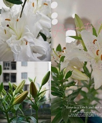 ׬������ٺϱ����л�����ö࣬������