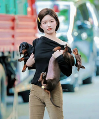 工作人员吐槽艺人带狗进组