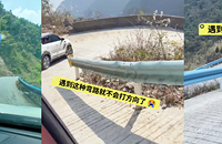 ��˵ȥ���ݽ�����ţ���ƫ����Ȱ������������ɵ��