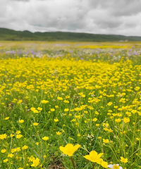 ����ʶ���������С����̡��Ļ�����������ʶ��Щ