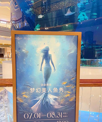 星光68|海底星空终于又有美人鱼表演啦
