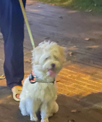 [�ɺ�]���ι���ȥ����1�º���ͷ����ֻ�������ú����