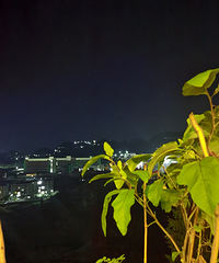 最近状态,回贵州提前开启养老生活