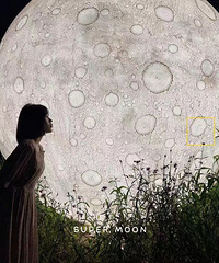 88��156CM����ְҵ��С������飬�������κ͵�Ӱ