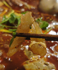 ˫����ʳſ����ҡ�����ţ�����