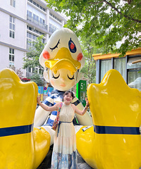 39��161CM��������ҵ��С������飬��һֻ�»�