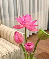 ��30����ܿ��ɻ�+�������լ��Ҳ�ܸ�������