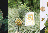 �ʻ��Ź�������9.9��õ��/�ɻ�/���ָ�20+