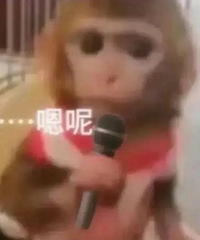 ������ֵ���򡿱���˹��װ�����48��˿��ϴ��ˮ38