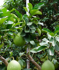 [����]���ϲ��˸����ϻ��У��������ɽ��ľ���У����˲���