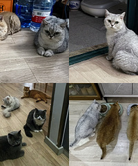 ��6���޲����װ��������۾͵��ŷŷ�