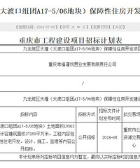 �����������ķɵ��ޱ�����ס��