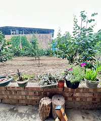 ���ǵ�����Ҳ������һ�й���ư�裬�������ֻ�