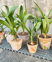 ���ţ��������ֻ���������˵�������棿˭�涨��~