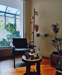 ��ű���Ҷ������˲�������������ζ����͡���