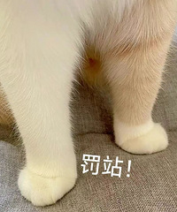 ������ֵ����ܽ��е�ֺ���Һ48��������ɹ����2ƿ68