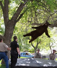 ���������ѧУ԰���������󣬱�����ǹ����