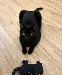 èè�ɻ���ô˯��һ������߾ͱ�С��