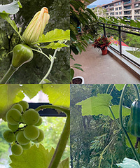 ʮ���׵���̨���ֻ����Ϲϣ����ȷ���